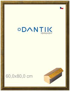DANTIK rám na obraz 60x80 | Forgia Gold (Plexi Čiré)