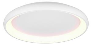 STROPNÉ LED SVIETIDLO, 75/9,5 cm Trio Leuchten - Interiérové svietidlá
