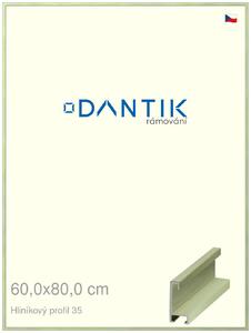 DANTIK rám na obraz 60x80 | ALU Dýha barevná zelená pastel (Plexi Čiré)