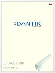 DANTIK rám na obraz 60x80 | ALU Bílá matná (Plexi Čiré)