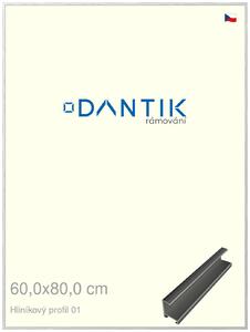 DANTIK rám na obraz 60x80 | ALU Stříbrná lesklá (Plexi Čiré)