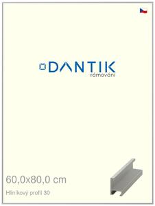 DANTIK rám na obraz 60x80 | ALU Stříbrná matná (Plexi Čiré)