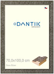 DANTIK rám na obraz 70x100 | Dora Silver (Plexi Čiré)