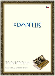 DANTIK rám na obraz 70x100 | Claico 2 (zlato ořechy) (Plexi Čiré)