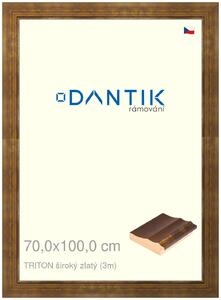 DANTIK rám na obraz 70x100 | TRITON široký zlatý (Plexi Čiré)