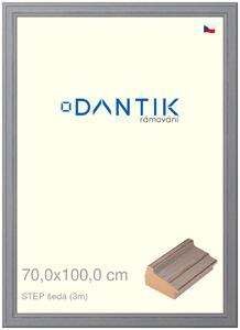 DANTIK rám na obraz 70x100 | STEP šedá (Plexi Čiré)