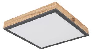 STROPNÉ LED SVIETIDLO, 30/30/6 cm - Interiérové svietidlá
