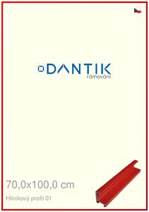 DANTIK rám na obraz 70x100 | ALU Červená Ferrari lesklá (Plexi Čiré)
