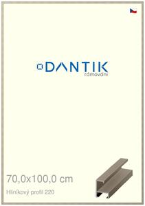 DANTIK rám na obraz 70x100 | ALU champagne (Plexi Čiré)