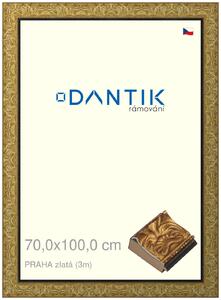 DANTIK rám na obraz 70x100 | PRAHA zlatá (Plexi Čiré)