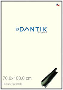 DANTIK rám na obraz 70x100 | ALU Šedá leská (Plexi Čiré)