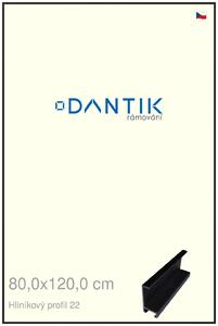 DANTIK rám na obraz 80x120 | ALU Černá matná (Plexi Čiré)