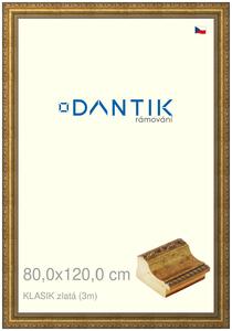 DANTIK rám na obraz 80x120 | KLASIK zlatá (Plexi Čiré)