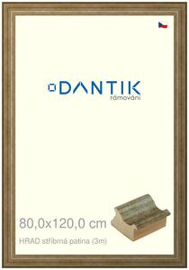 DANTIK rám na obraz 80x120 | HRAD stříbrná patina (Plexi Čiré)
