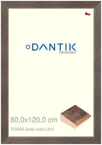 DANTIK rám na obraz 80x120 | TOMAS šedá velká (Plexi Čiré)