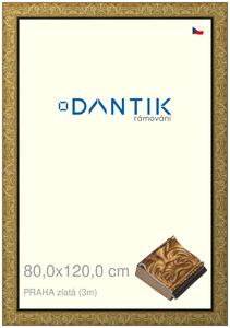 DANTIK rám na obraz 80x120 | PRAHA zlatá (Plexi Čiré)
