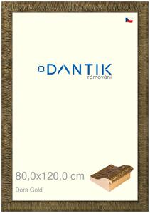 DANTIK rám na obraz 80x120 | Dora Gold (Plexi Čiré)