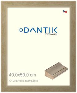 DANTIK rám na obraz 40x50 | ANDRÉ velká champagne (Plexi Čiré)