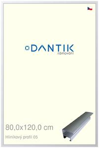 DANTIK rám na obraz 80x120 | ALU Stříbrná matná (Plexi Čiré)