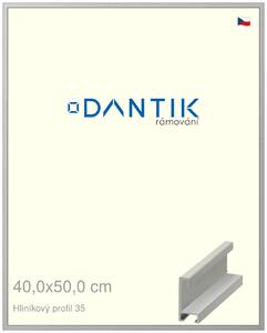 DANTIK rám na obraz 40x50 | ALU Dýha barevná šedá (Plexi Čiré)