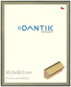DANTIK rám na obraz 40x50 | INCLINATA colori béžová (Plexi Čiré)
