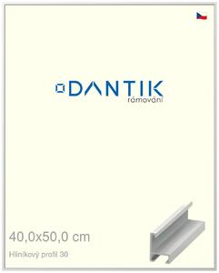DANTIK rám na obraz 40x50 | ALU Bílá matná (Plexi Čiré)