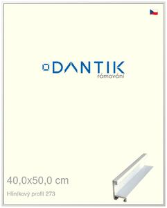 DANTIK rám na obraz 40x50 | ALU Bílá matná (Plexi Čiré)