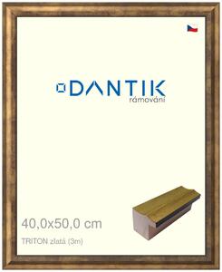 DANTIK rám na obraz 40x50 | TRITON zlatá (Plexi Čiré)