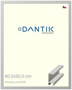 DANTIK rám na obraz 40x50 | ALU Stříbrná matná (Plexi Čiré)