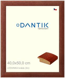 DANTIK rám na obraz 40x50 | LEDVINKA hnědá (Plexi Čiré)