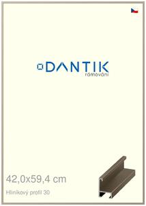DANTIK rám na obraz 42x59,4 | ALU champagne (Plexi Čiré)