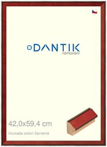 DANTIK rám na obraz 42x59,4 | INCLINATA colori červená (Plexi Čiré)