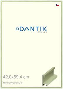 DANTIK rám na obraz 42x59,4 | ALU Dýha barevná zelená pastel (Plexi Čiré)