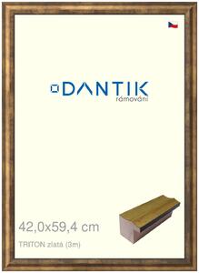 DANTIK rám na obraz 42x59,4 | TRITON zlatá (Plexi Čiré)