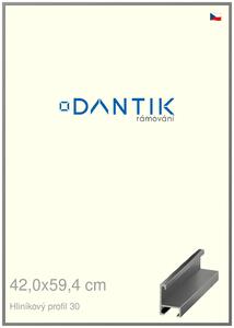 DANTIK rám na obraz 42x59,4 | ALU Ocelová (Plexi Čiré)