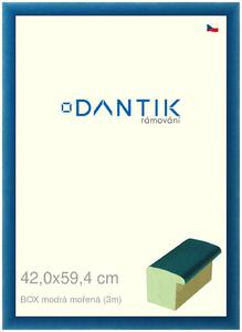 DANTIK rám na obraz 42x59,4 | BOX modrá mořená (Plexi Čiré)