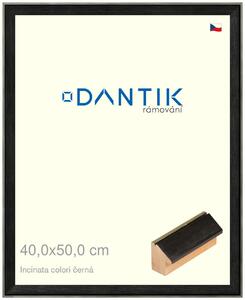 DANTIK rám na obraz 40x50 | INCLINATA colori černá (Sklo Čiré)