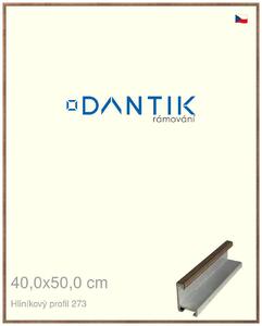 DANTIK rám na obraz 40x50 | ALU Dýha wenge (Sklo Čiré)