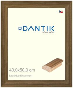 DANTIK rám na obraz 40x50 | LEDVINKA dýha ořech (Sklo Čiré)