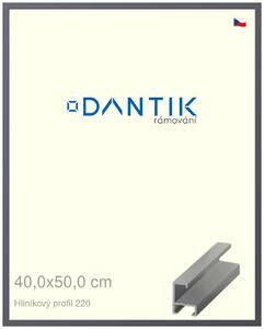 DANTIK rám na obraz 40x50 | ALU Ocelová (Sklo Čiré)