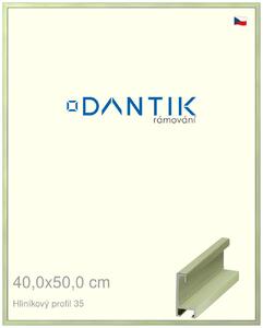 DANTIK rám na obraz 40x50 | ALU Dýha barevná zelená pastel (Sklo Čiré)