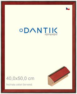 DANTIK rám na obraz 40x50 | INCLINATA colori červená (Sklo Čiré)