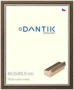 DANTIK rám na obraz 40x50 | TAIGA sv.hnědá (Sklo Čiré)
