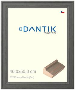 DANTIK rám na obraz 40x50 | STEP tmavěšedá (Sklo Čiré)