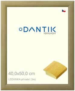 DANTIK rám na obraz 40x50 | LEDVINKA přírodní (Sklo Čiré)