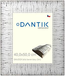 DANTIK rám na obraz 40x50 | SAUDEK Bílá černé čáry (Sklo Čiré)
