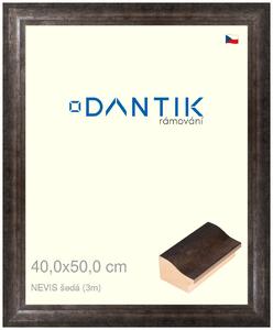 DANTIK rám na obraz 40x50 | NEVIS šedá (Sklo Čiré)