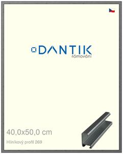 DANTIK rám na obraz 40x50 | ALU Ššedá broušená (Sklo Čiré)