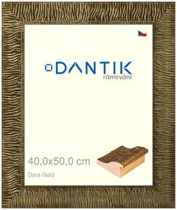 DANTIK rám na obraz 40x50 | Dora Gold (Sklo Čiré)