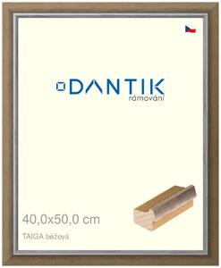 DANTIK rám na obraz 40x50 | TAIGA béžová (Sklo Čiré)